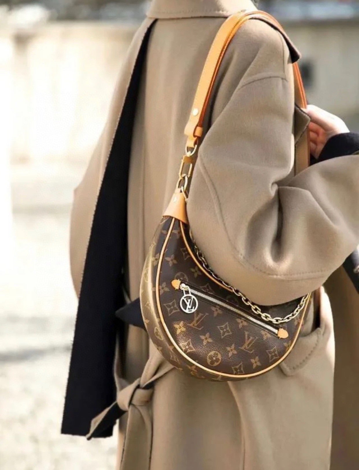 Louis Vuitton Monogram Loop Bag (Chip Version)