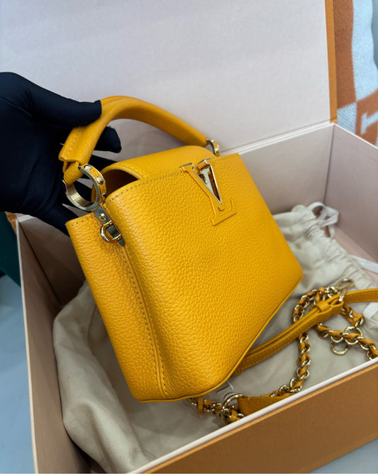 Louis Vuitton Capucines Mini