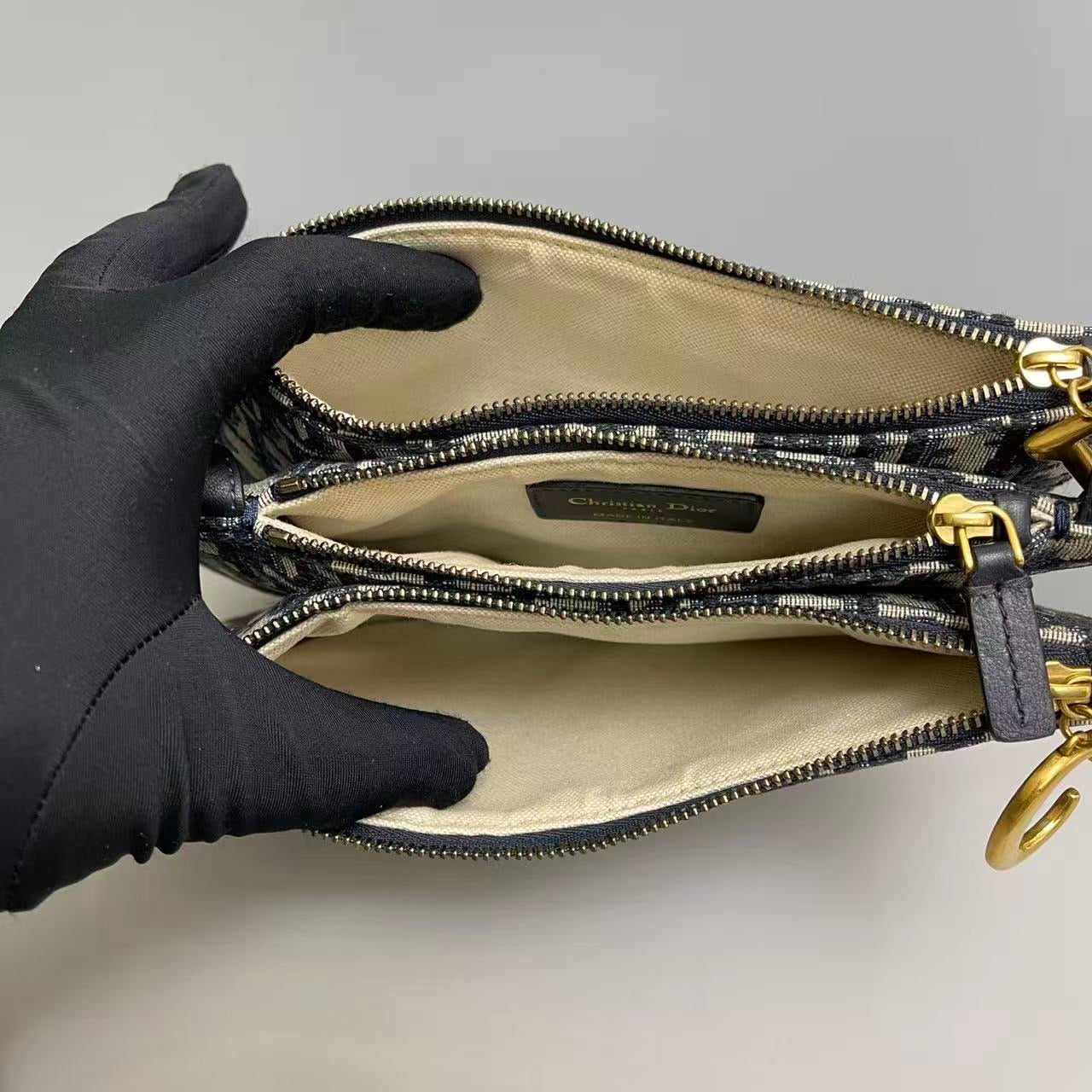 Dior Saddle Accordion Bag