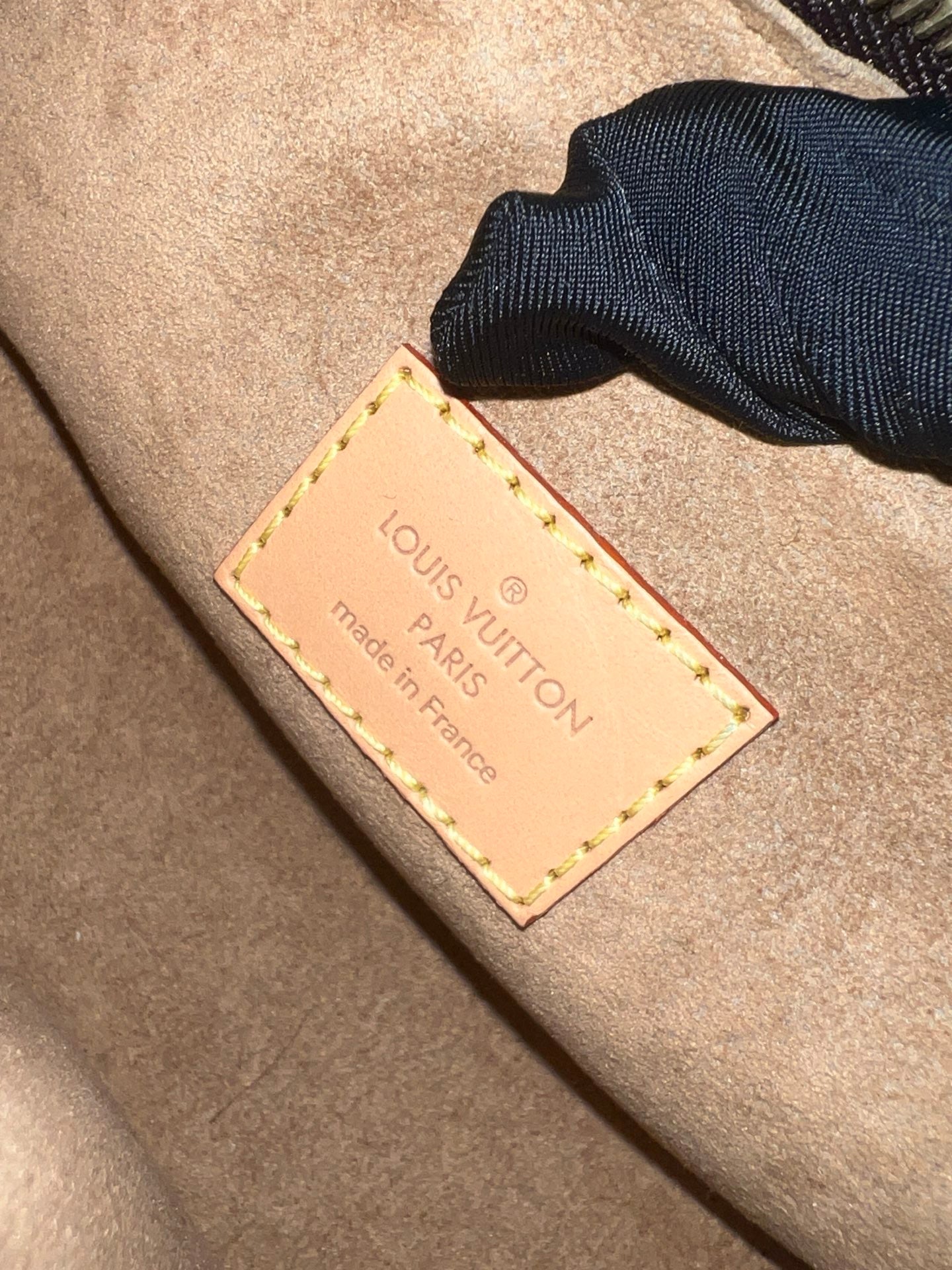 Louis Vuitton Monogram Loop Bag (Chip Version)