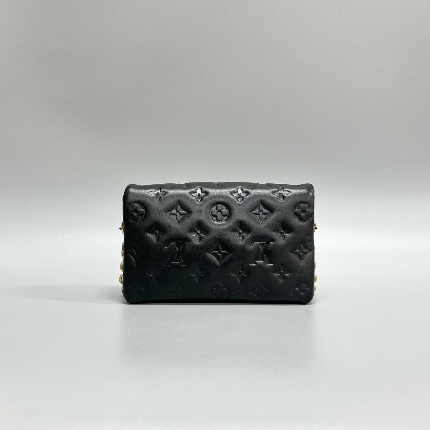 Louis Vuitton Pochette Coussin