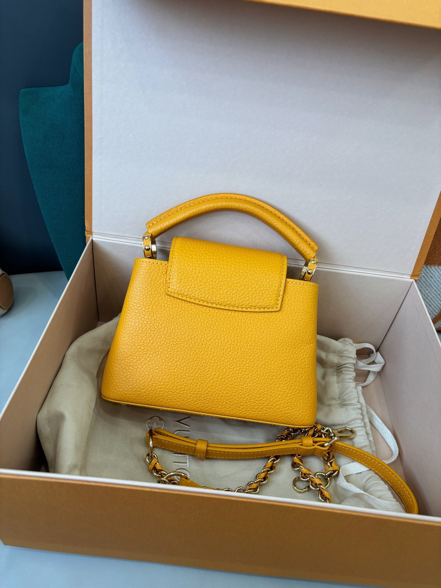 Louis Vuitton Capucines Mini