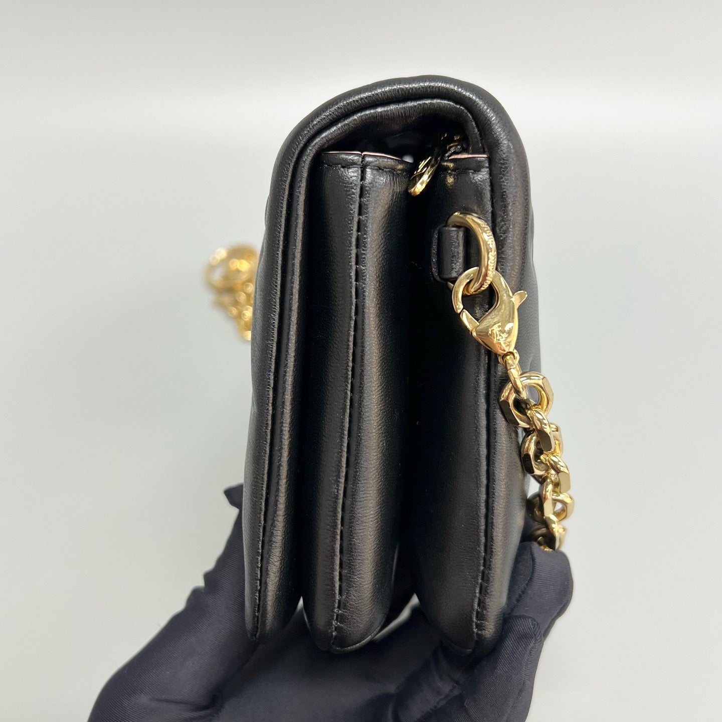 Louis Vuitton Pochette Coussin