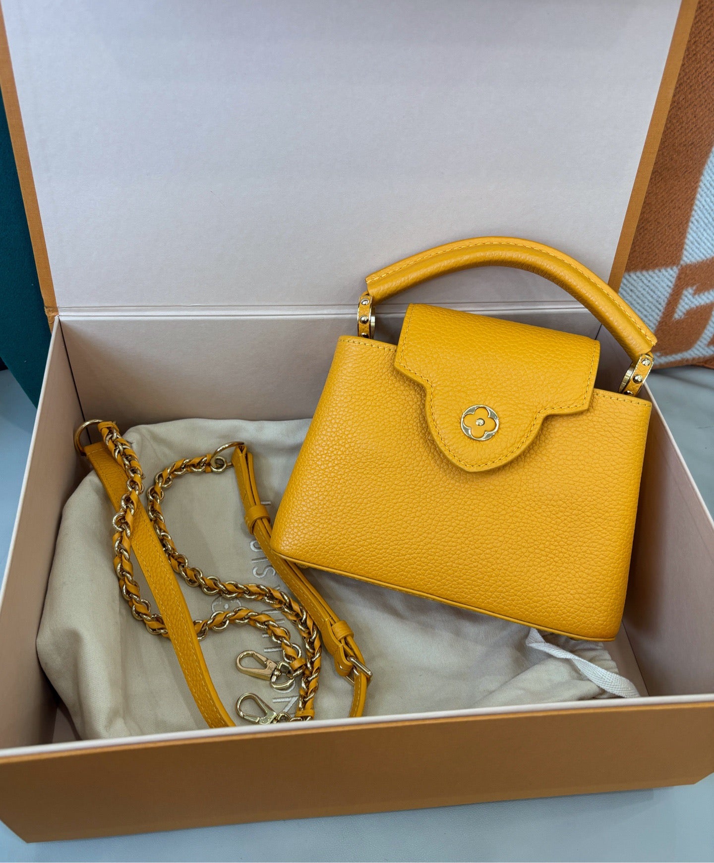 Louis Vuitton Capucines Mini