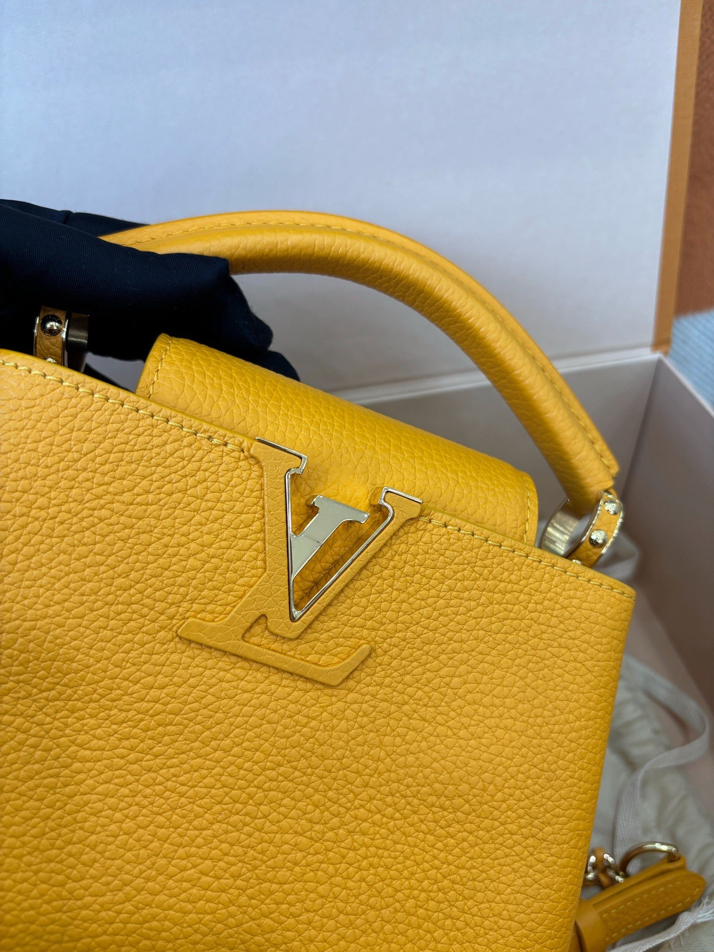 Louis Vuitton Capucines Mini