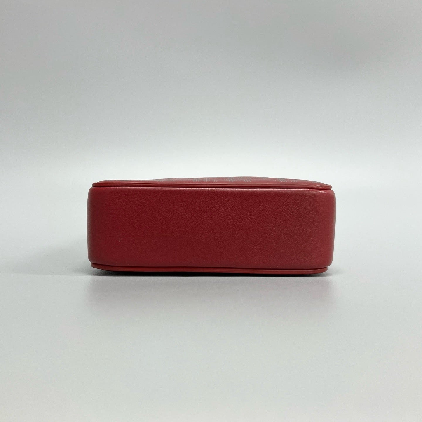 Dior Vertical Phone Bag