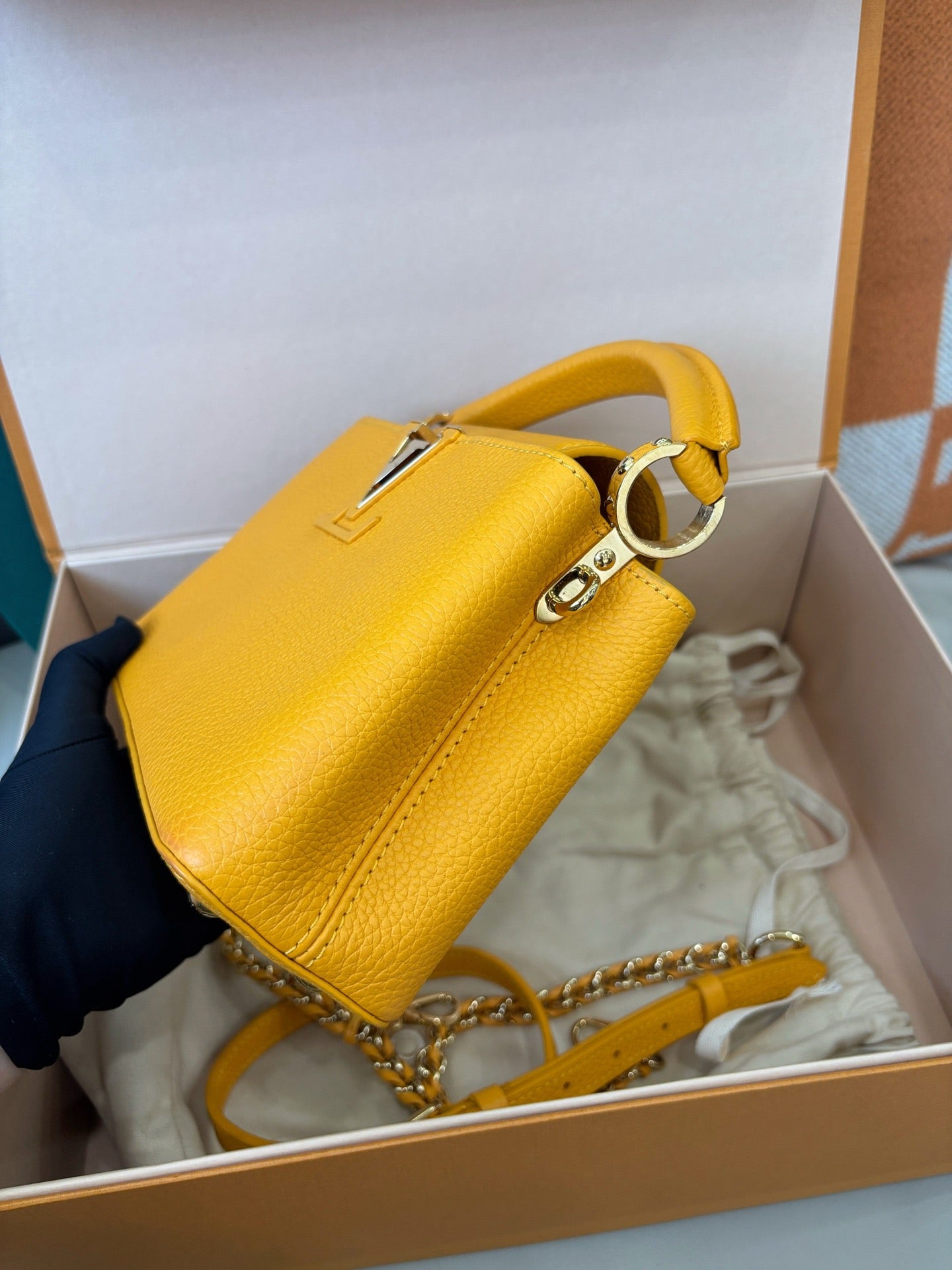 Louis Vuitton Capucines Mini