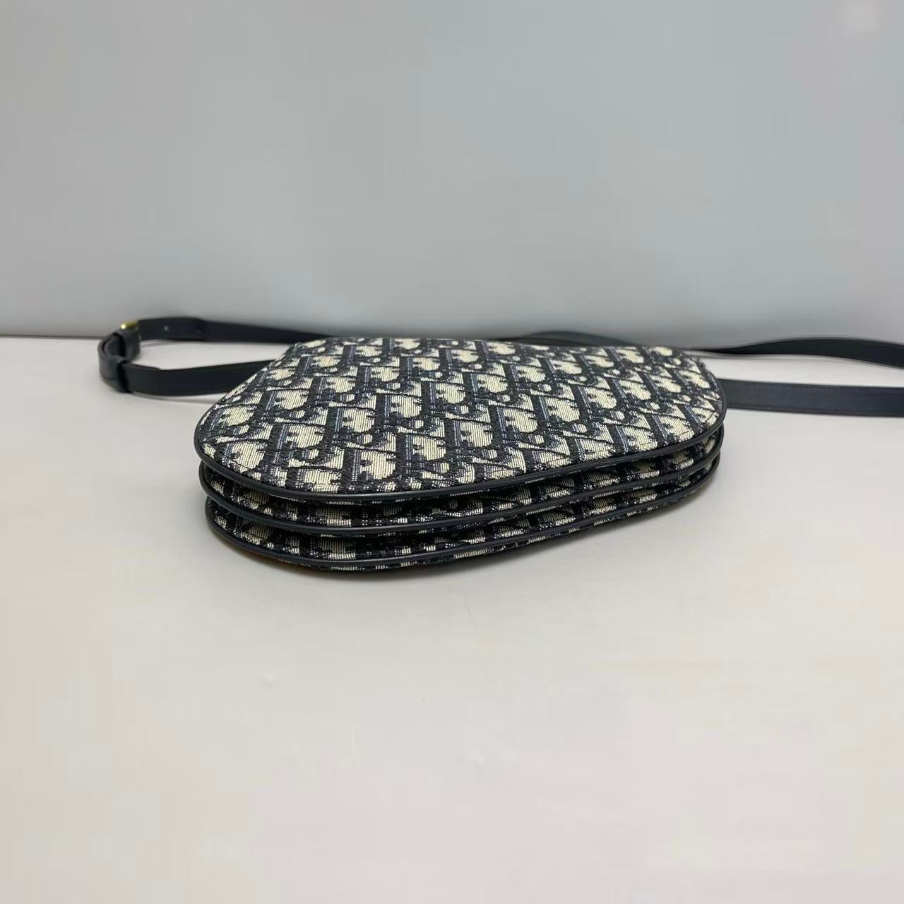 Dior Saddle Accordion Bag