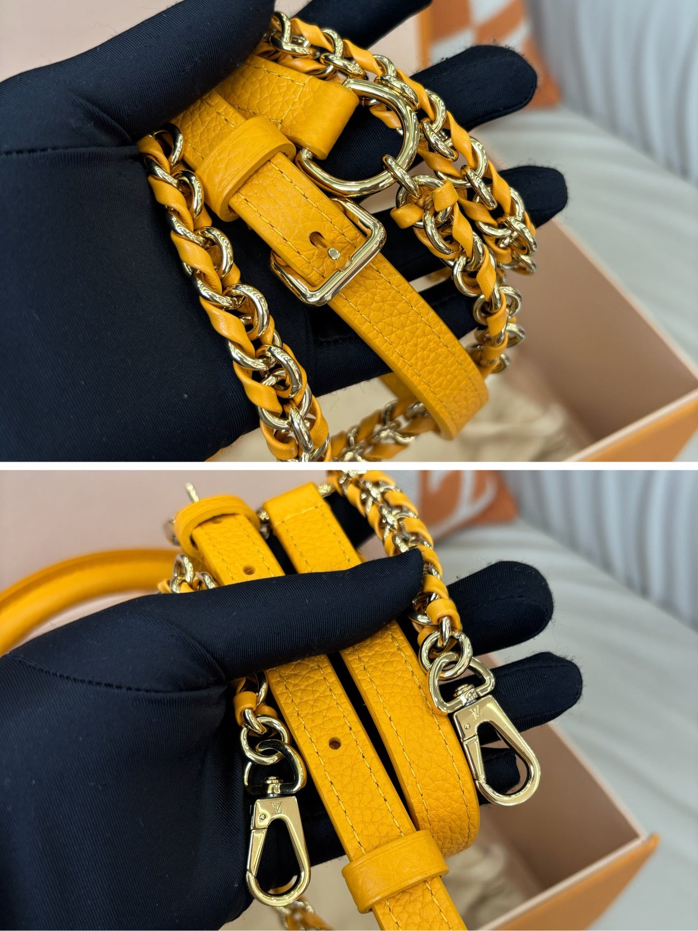 Louis Vuitton Capucines Mini
