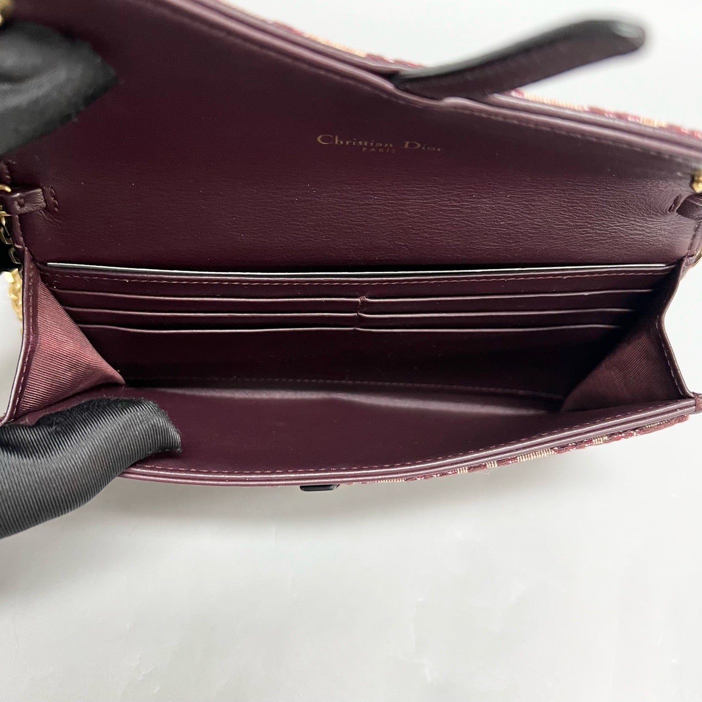 Dior Saddle Duo WOC