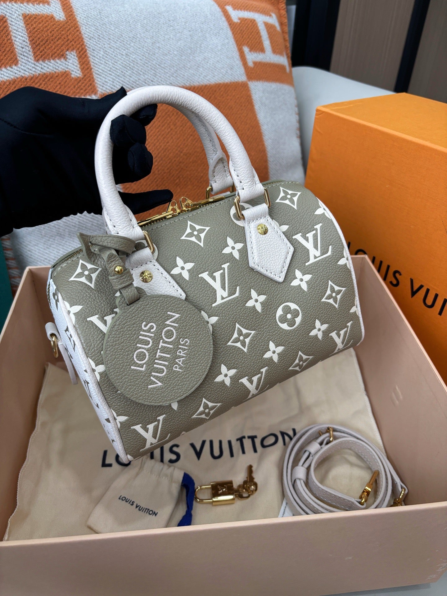 Louis Vuitton Speedy 20
