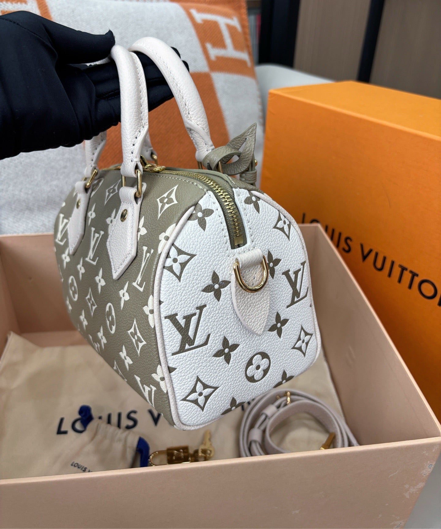 Louis Vuitton Speedy 20