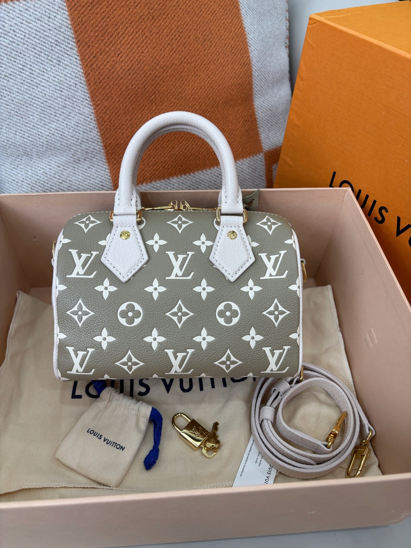 Louis Vuitton Speedy 20