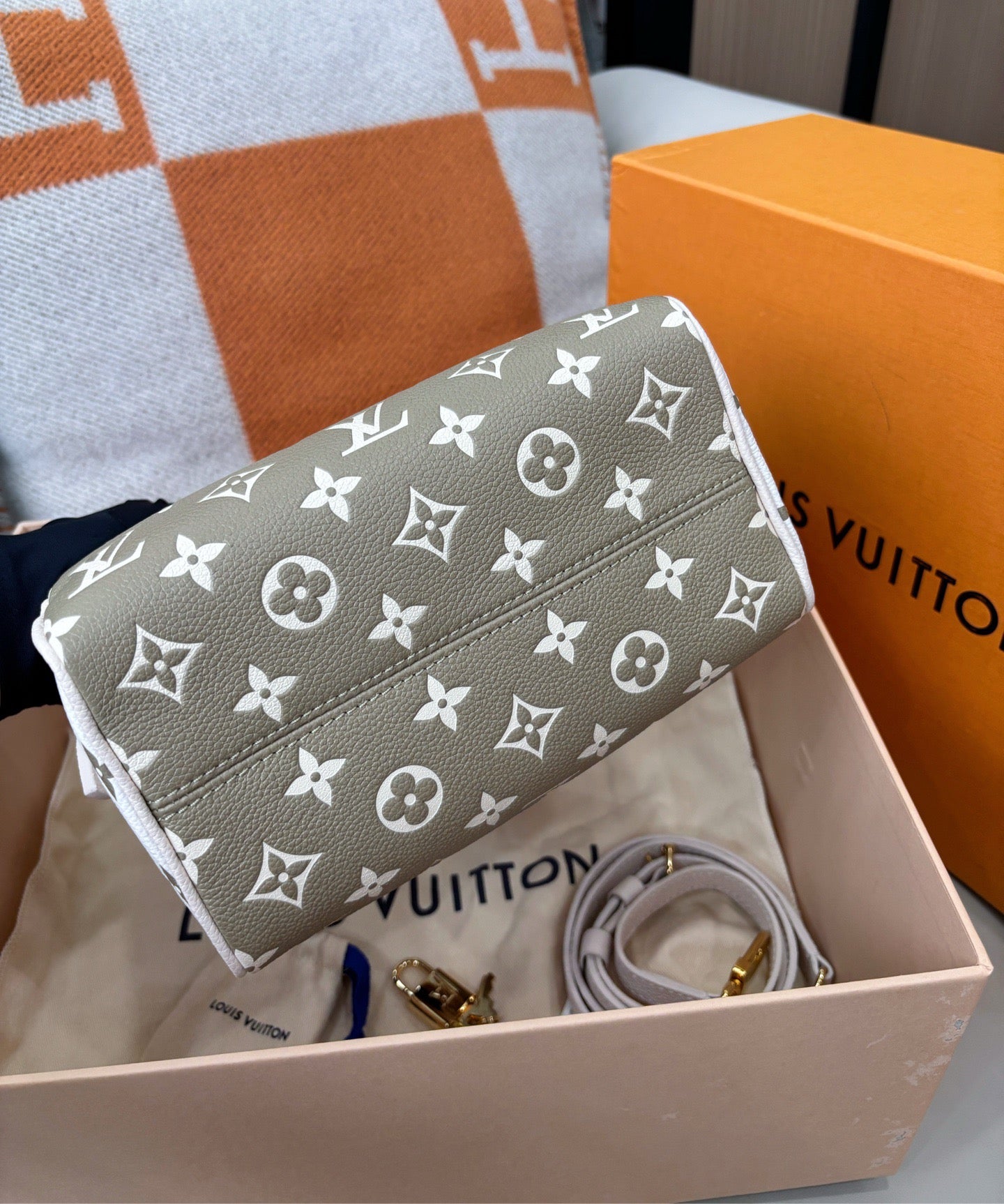 Louis Vuitton Speedy 20