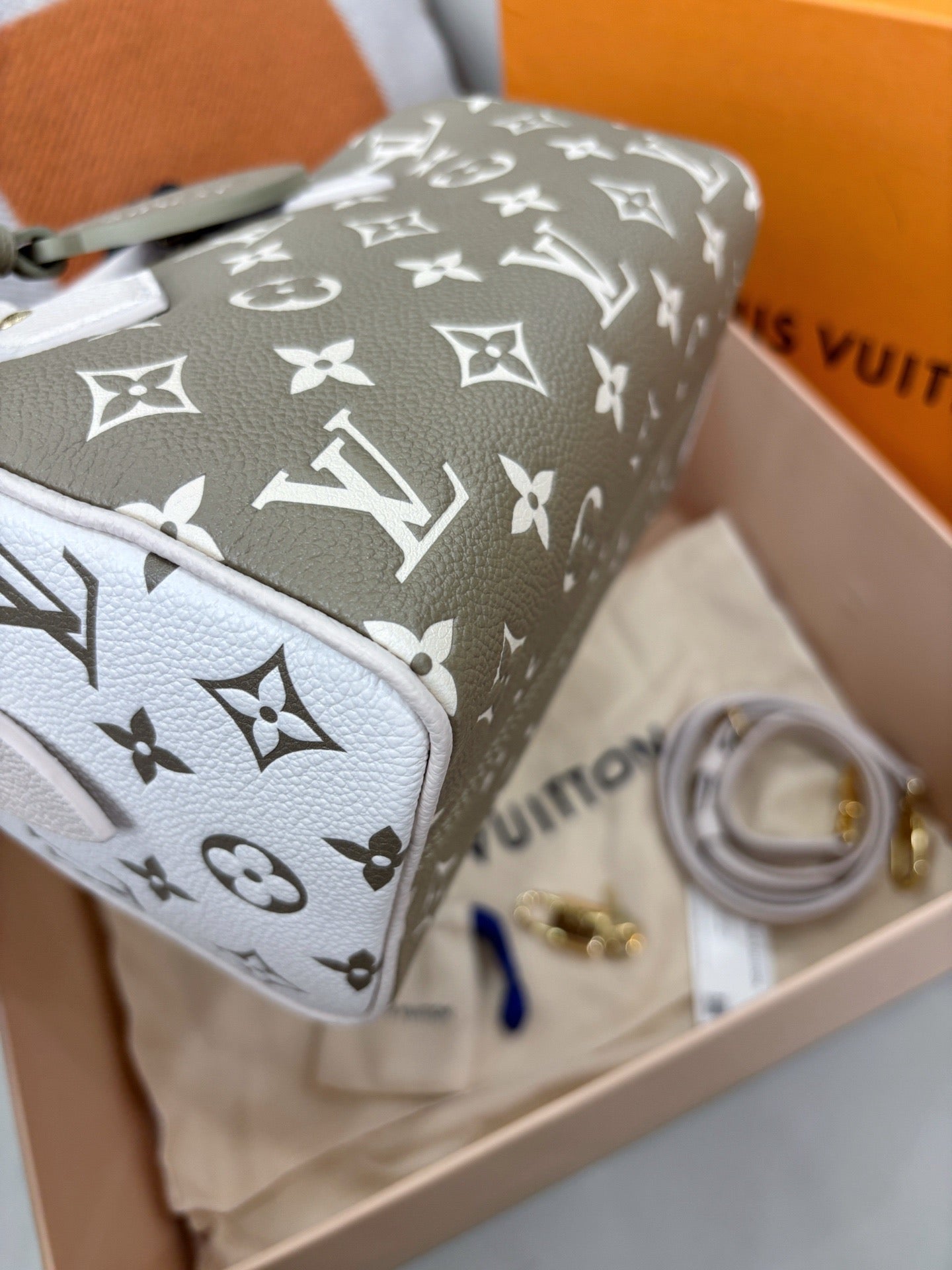 Louis Vuitton Speedy 20