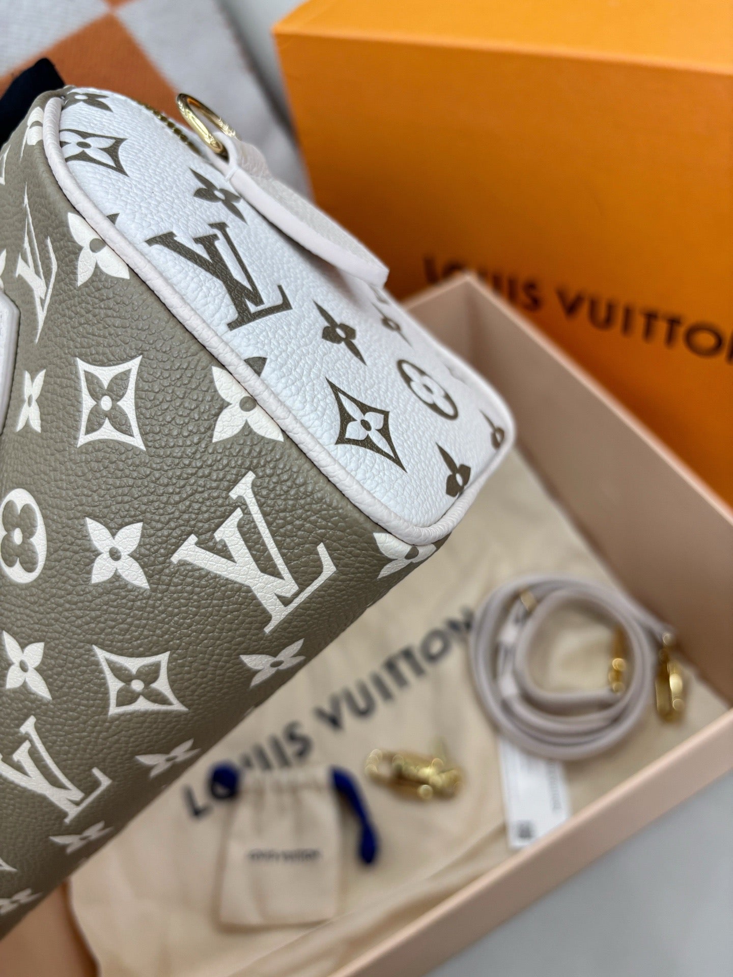 Louis Vuitton Speedy 20