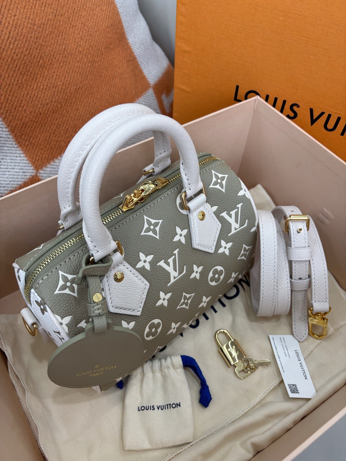 Louis Vuitton Speedy 20