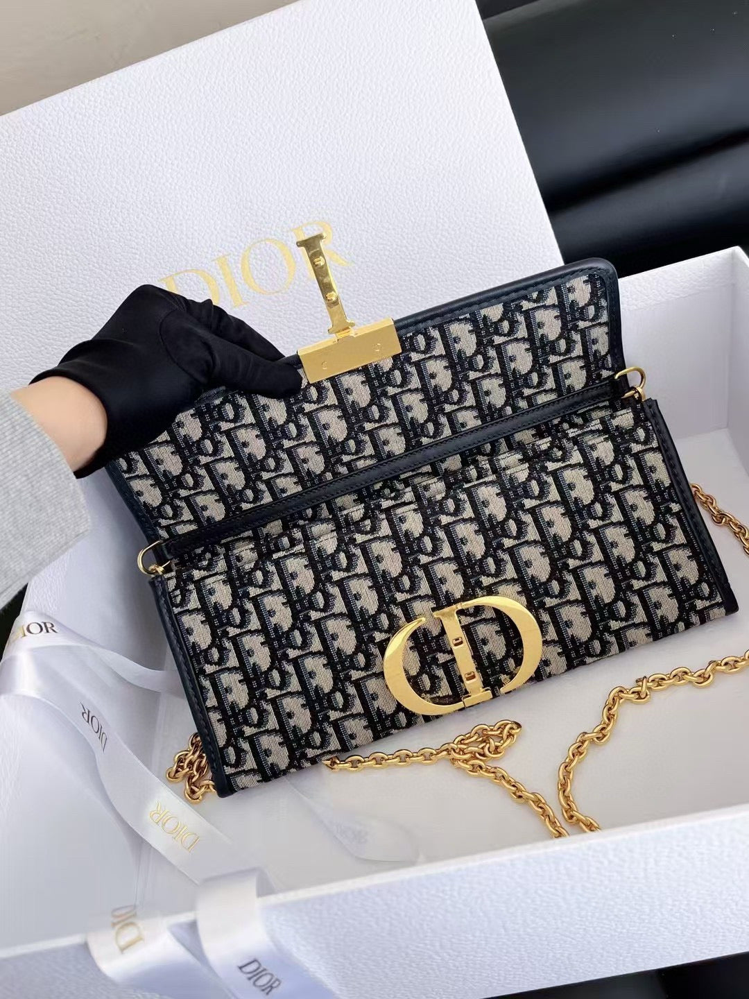 Dior Montaigne Horizontal Baguette Bag