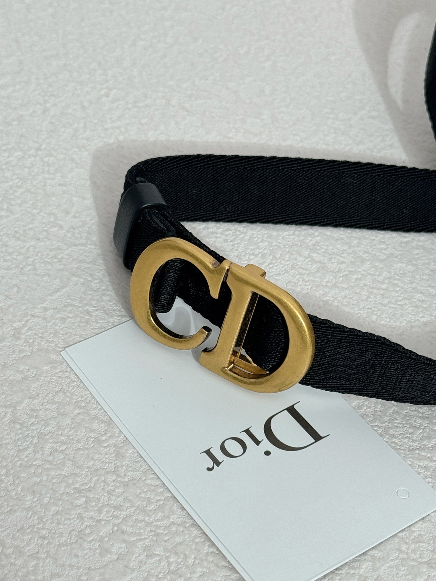 Dior Saddle Belt Bag