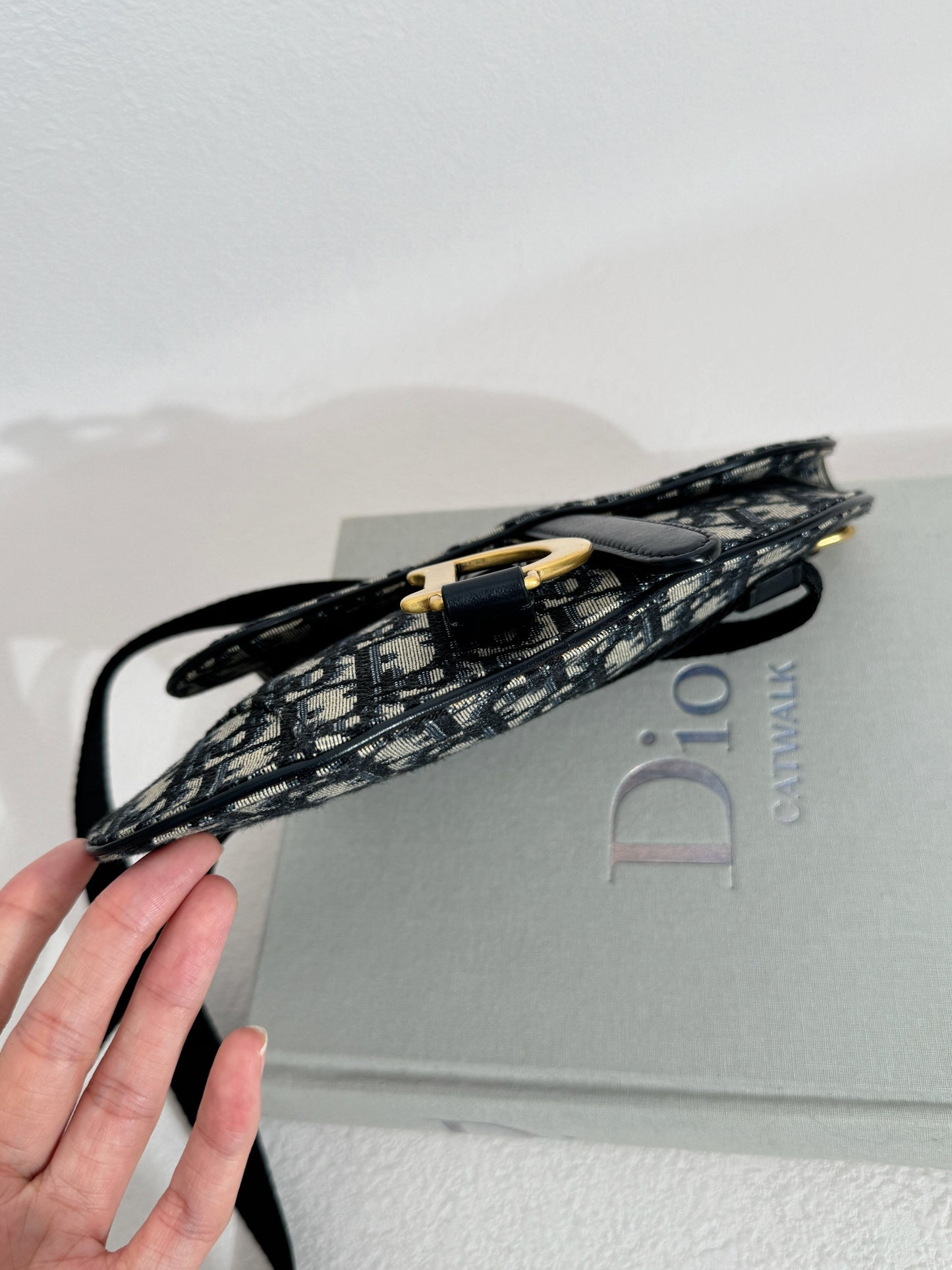 Dior Saddle Belt Bag