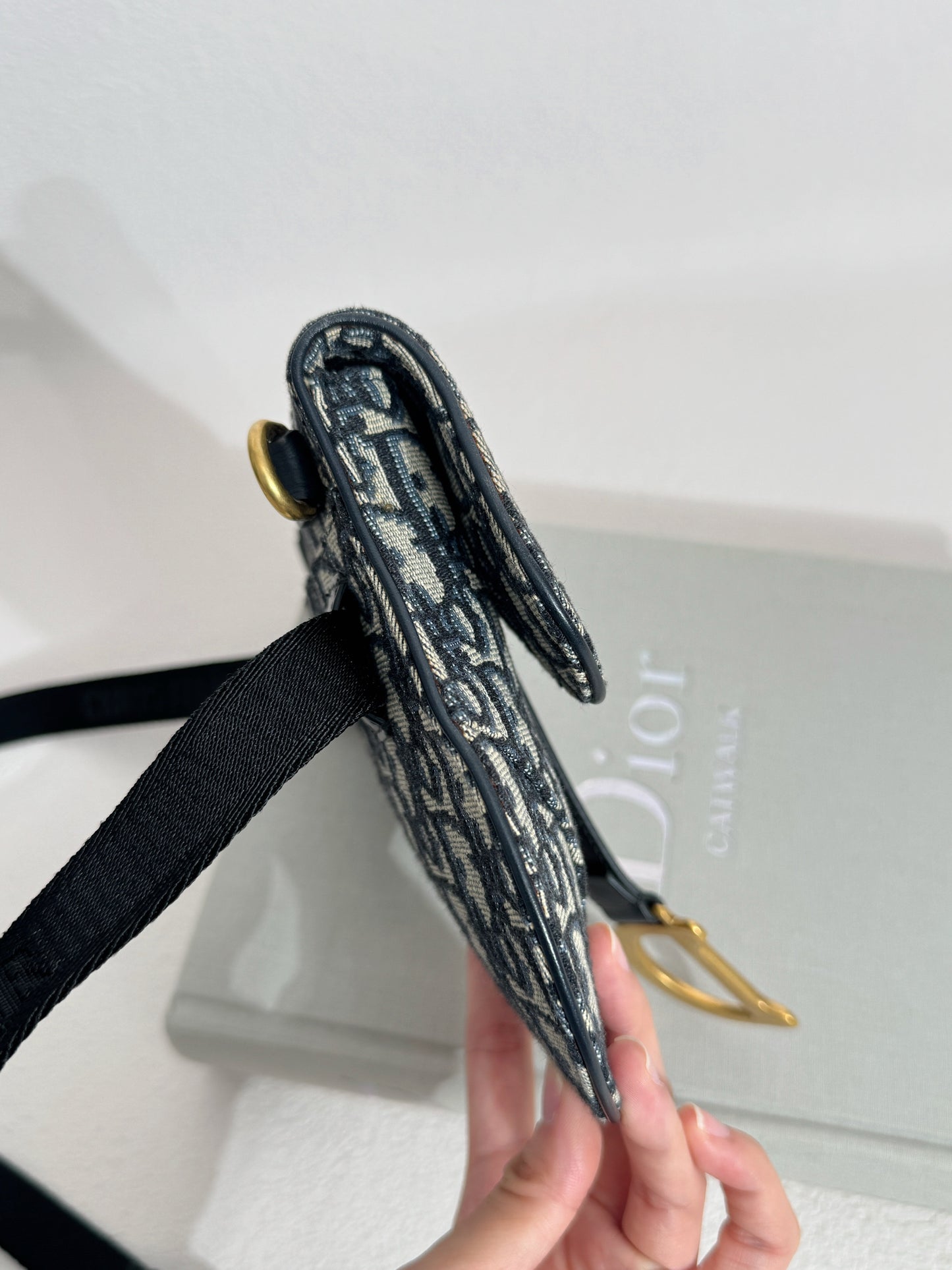 Dior Saddle Belt Bag