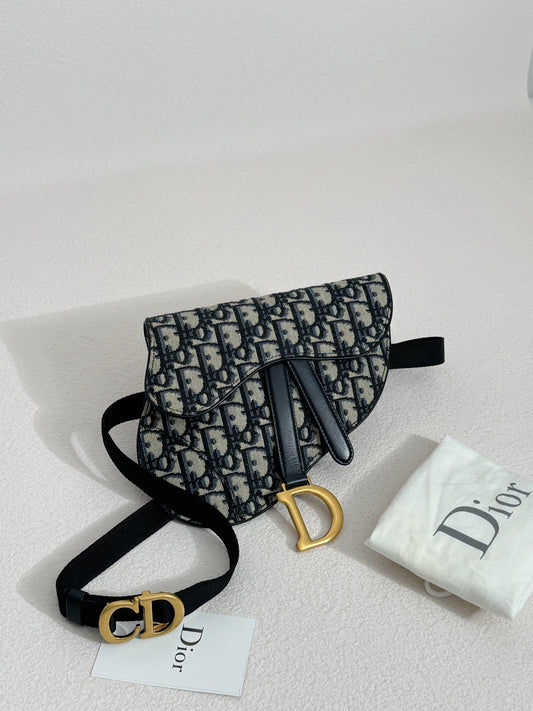 Dior Saddle Belt Bag