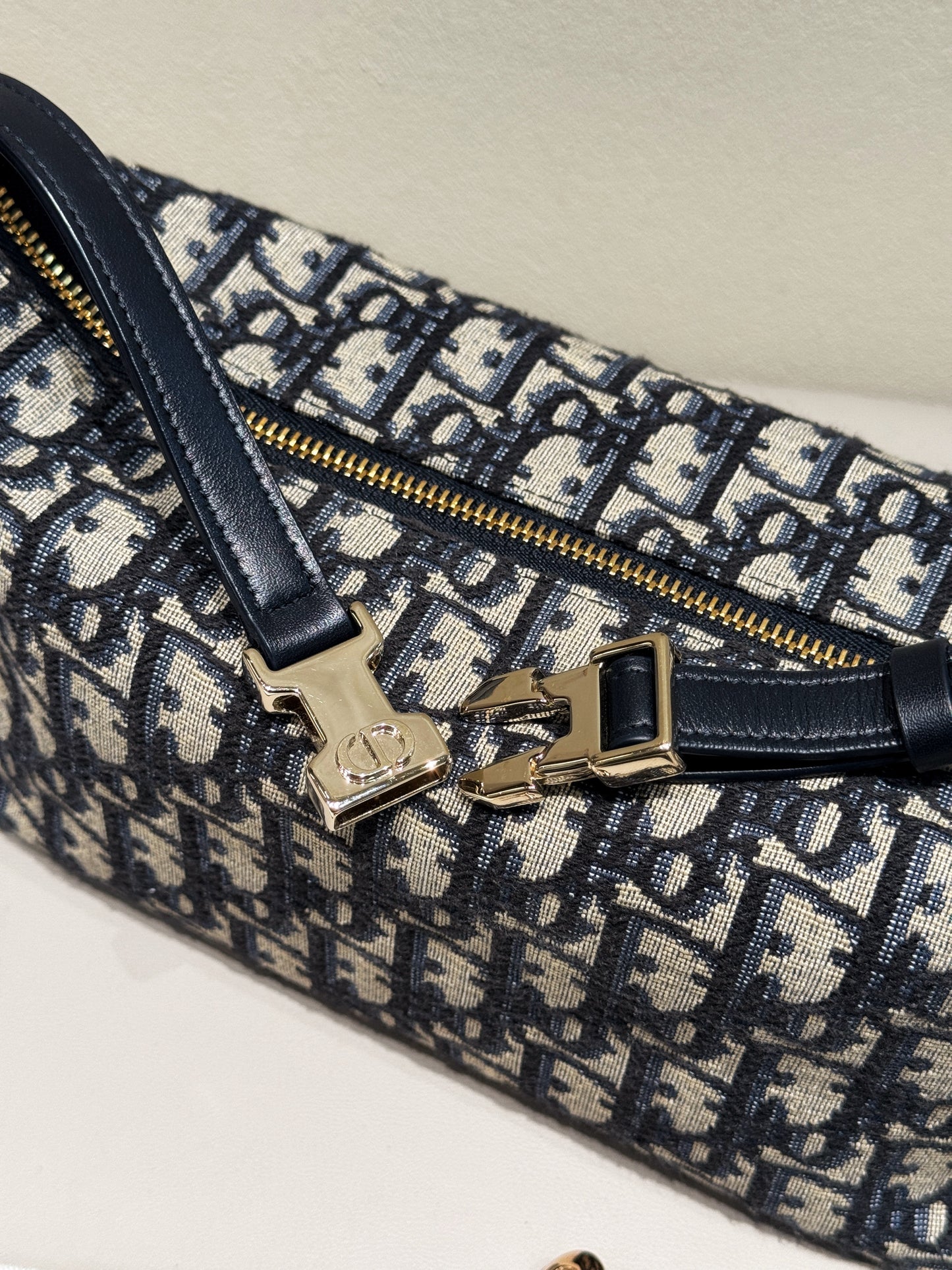 Dior Embroidered Oblique Hobo Box Bag