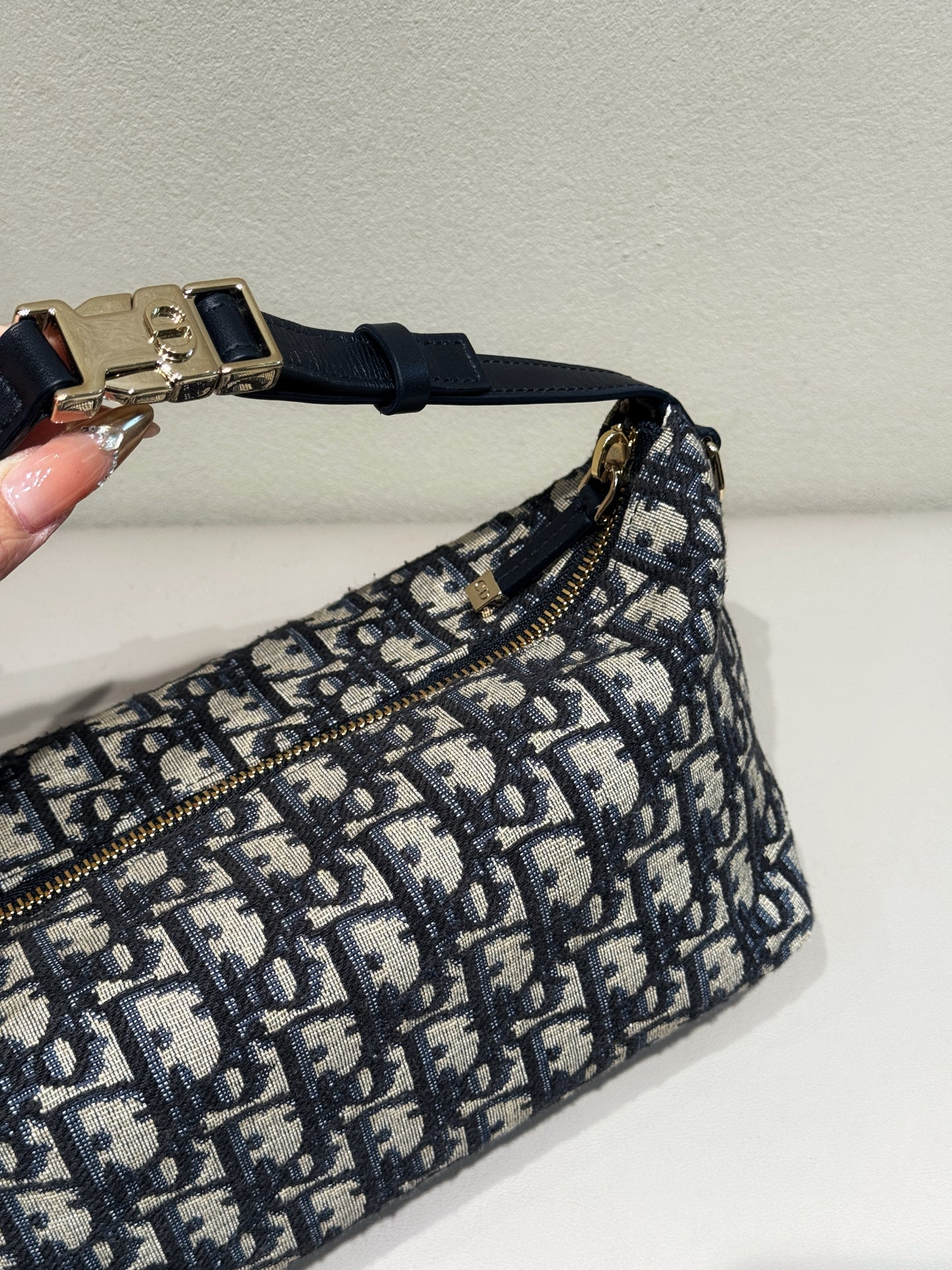 Dior Embroidered Oblique Hobo Box Bag