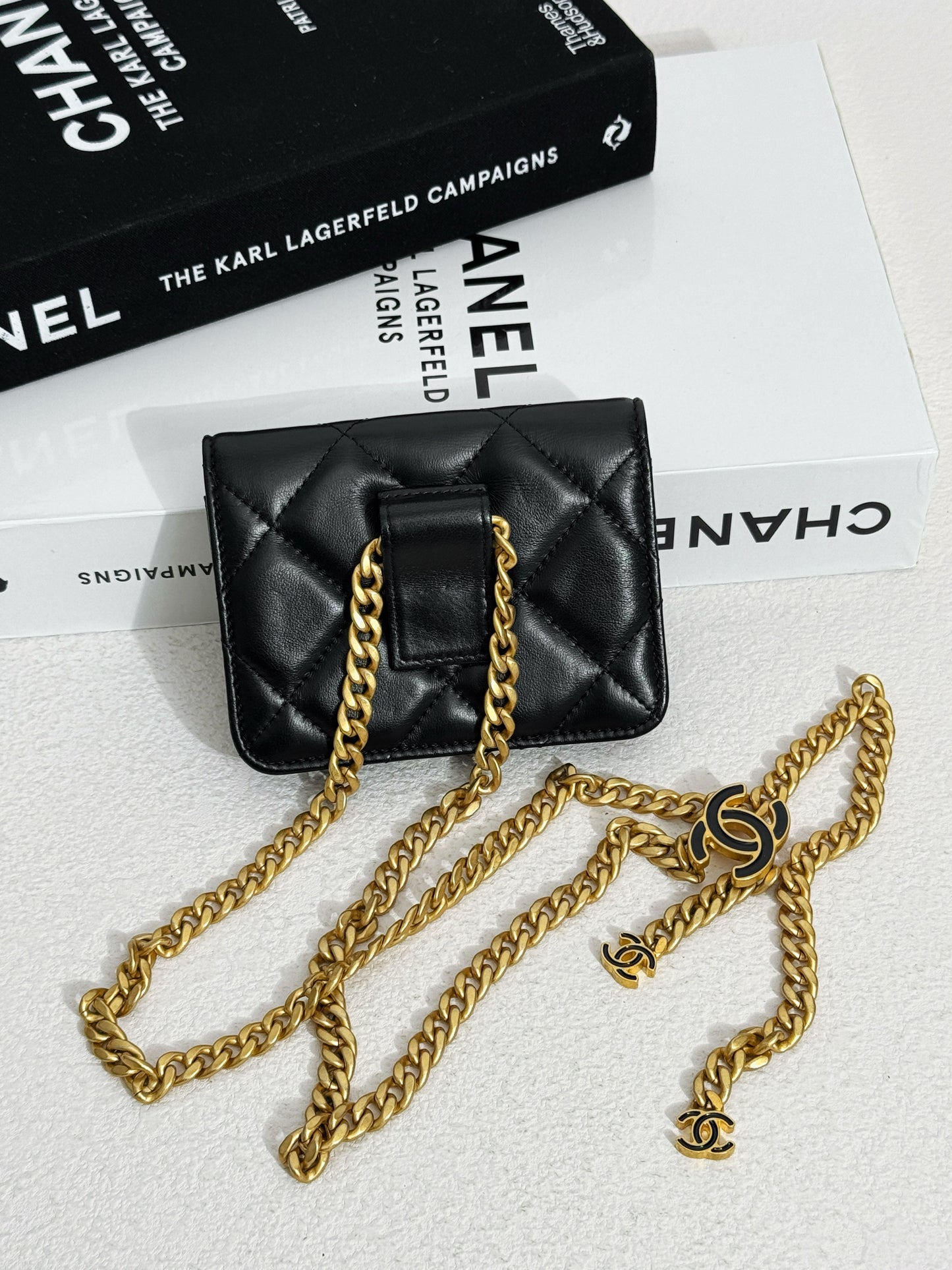Chanel Mini WOC-Enamel Logo Clasp